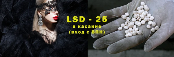индика Кукмор