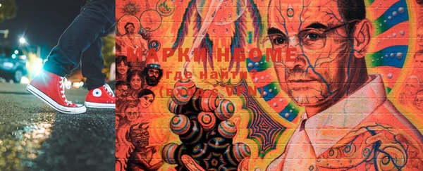 индика Кукмор