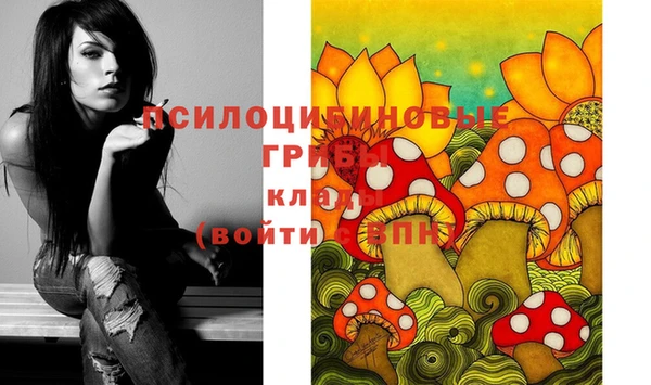 спиды Белокуриха