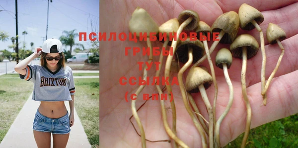 спиды Белокуриха